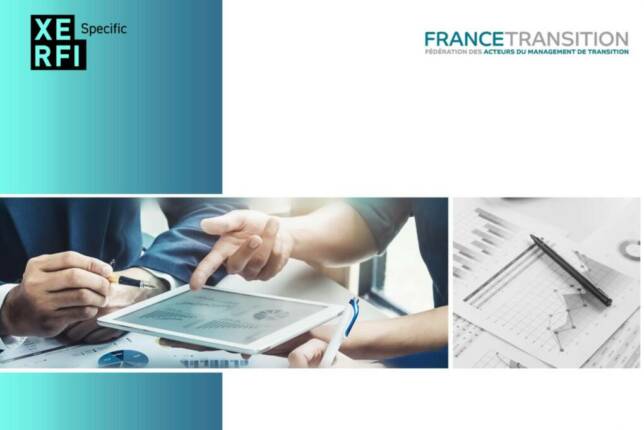 Le marché du management de transition en France en 2023