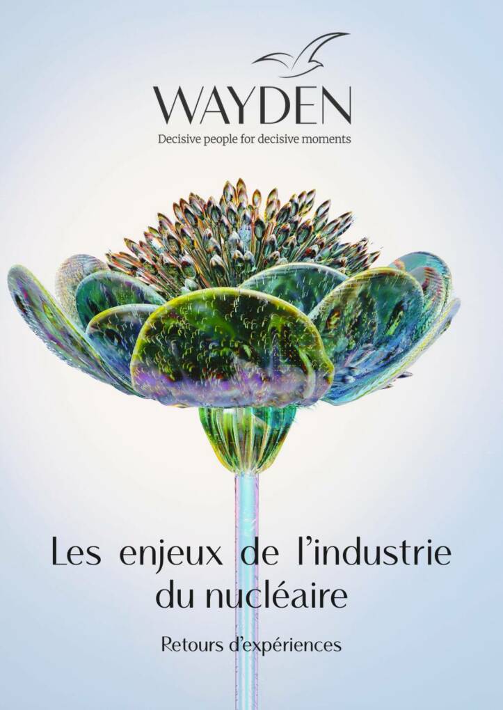 Les enjeux de l'industrie du nucléaire - retours d'expériences