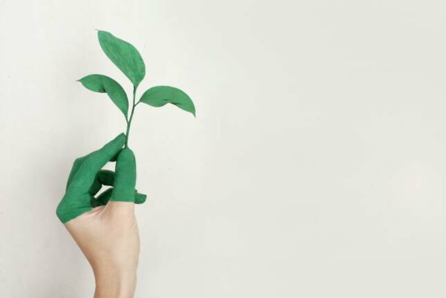 Direction juridique, ESG & RSE : le triplé gagnant pour une transition réussie
