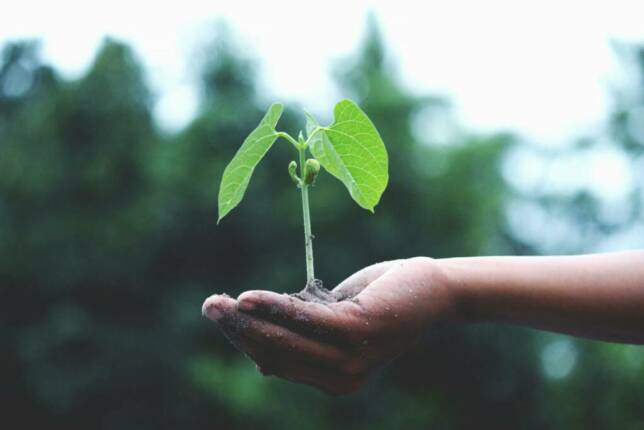 Consulting RSE : quand se faire accompagner par un consultant ? 5 exemples de projets