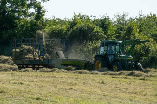Directeur d’usine agro-alimentaire : exemple d’une mission de transition dans l’industrie