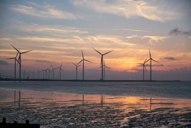 Transition écologique et énergétique : 5 missions d’un manager de transition