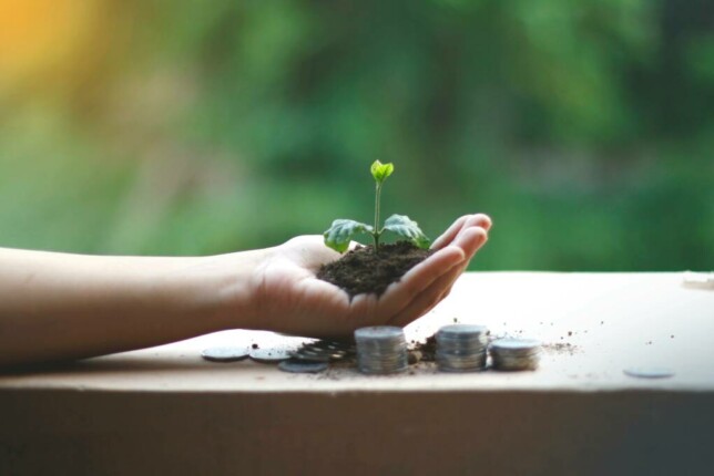 5 missions d’un consultant ESG pour votre transition financière