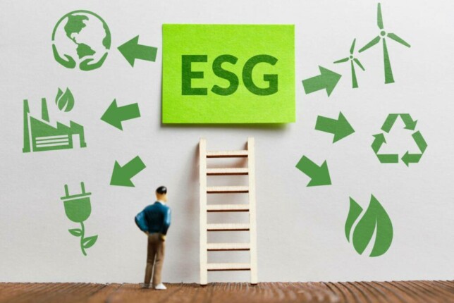 Mise en conformité ESG : pourquoi faire appel à un consultant externalisé ?